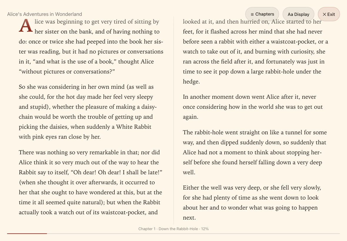 reader-fullscreen-chrome screenshot