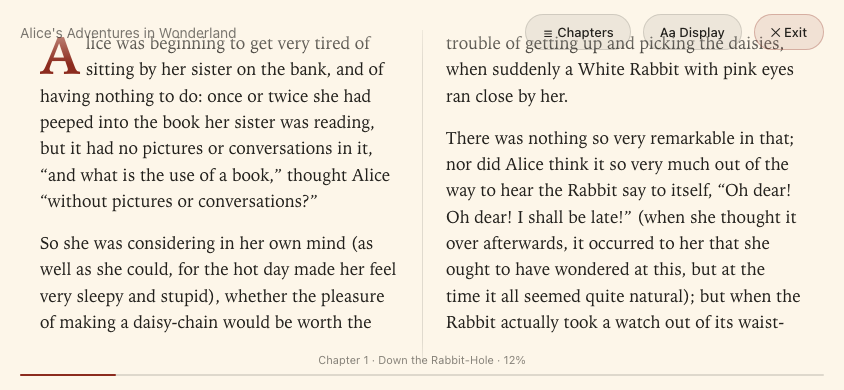 reader-fullscreen-chrome screenshot