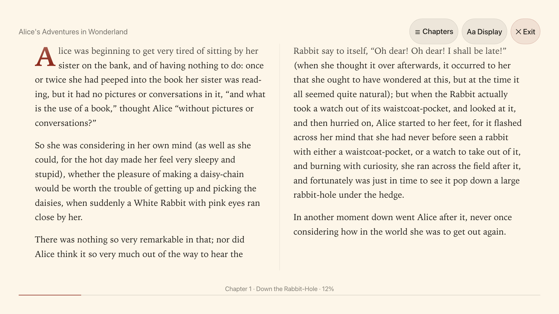 reader-fullscreen-chrome screenshot